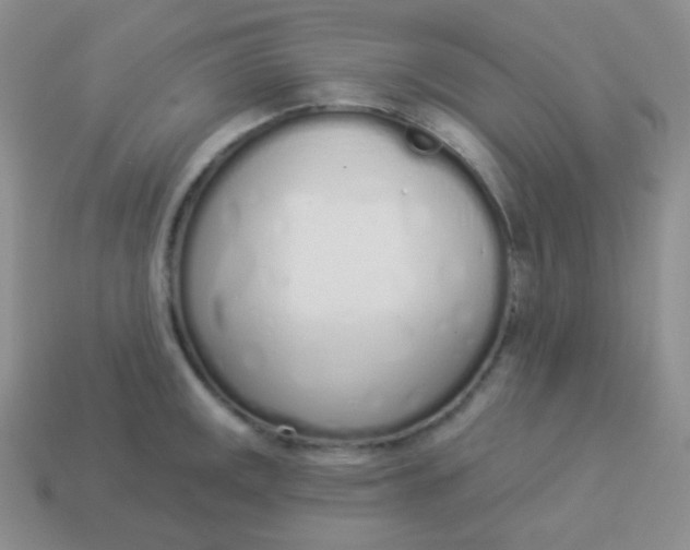 X0000114001141200910161703