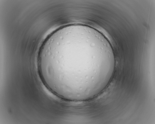 X0000114001143200910161703
