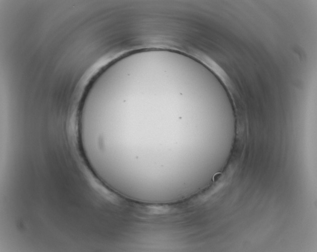 X0000114001144200910161703