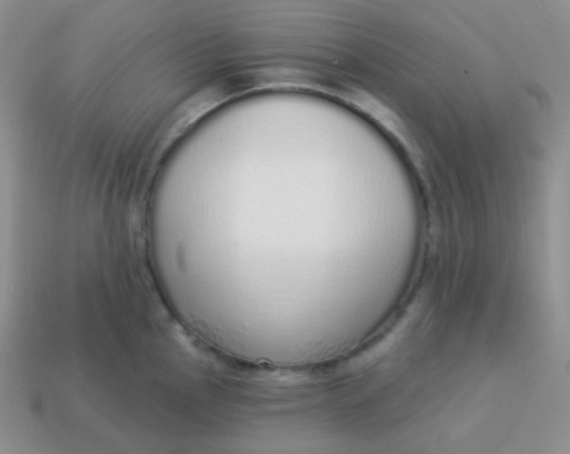 X0000114001145200910161703