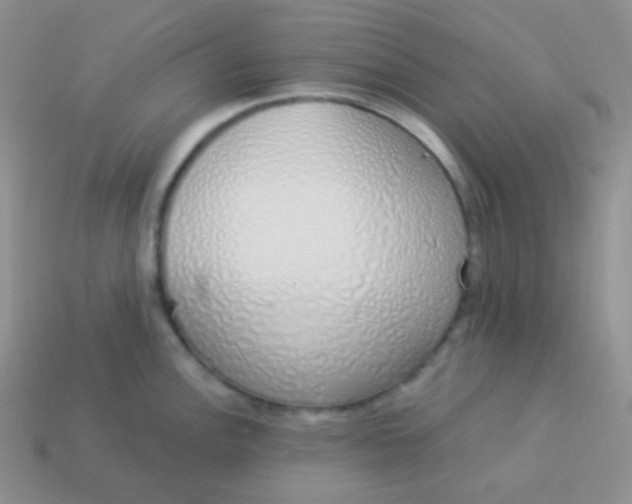 X0000114001148200910161703