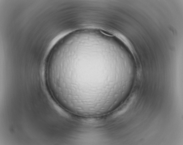 X0000114001149200910161703