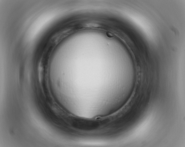 X0000114001151200910161703