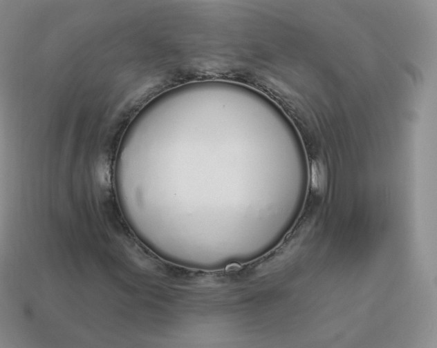 X0000114001155200910161703