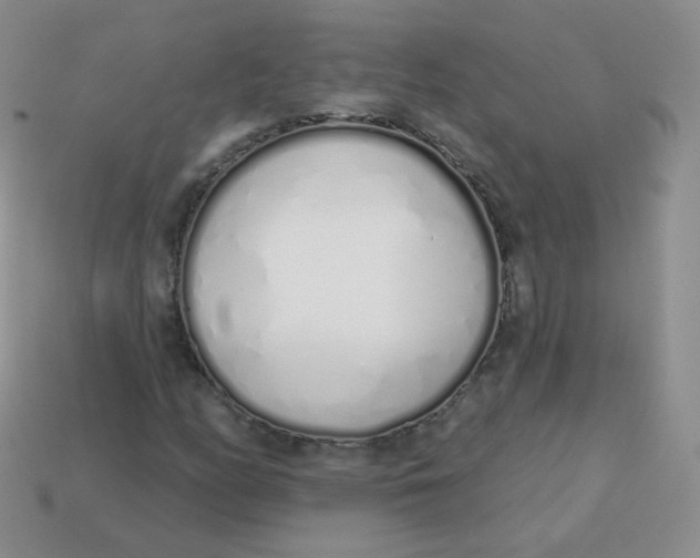 X0000114001158200910161703