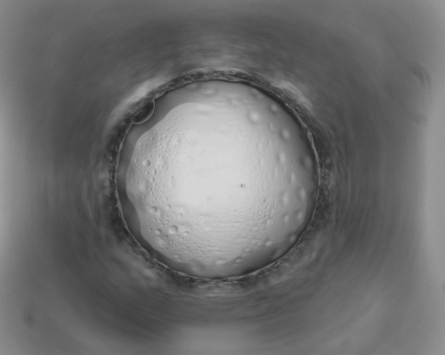 X0000114001159200910161703