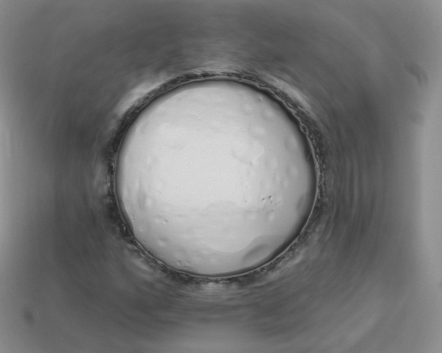 X0000114001160200910161703