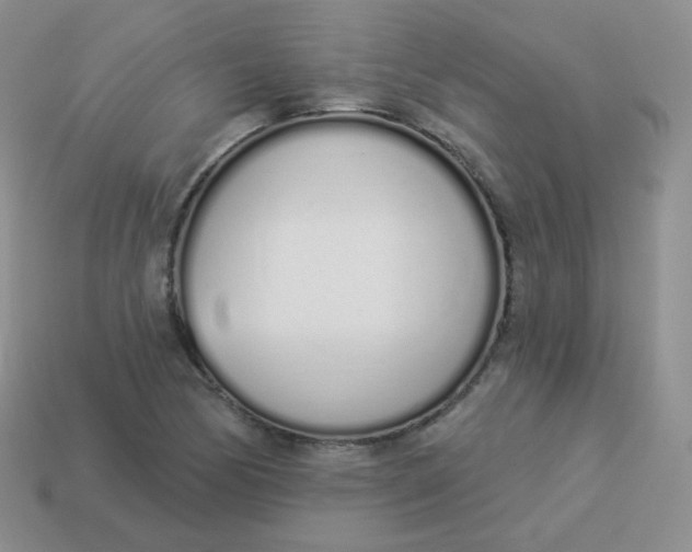 X0000114001170200910161702