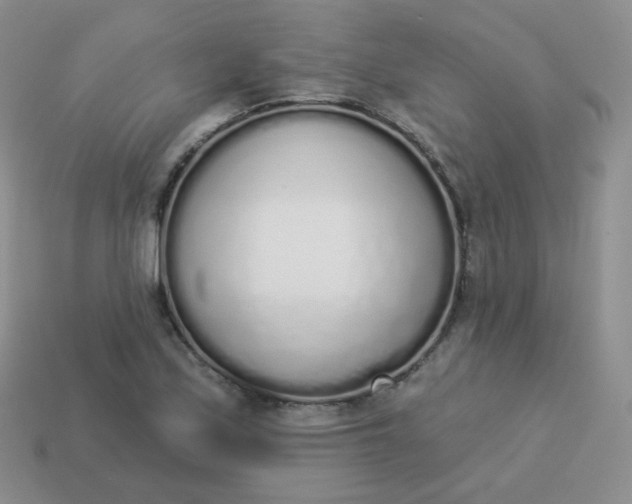 X0000114001171200910161702