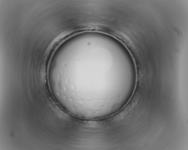 X0000114001172200910161702