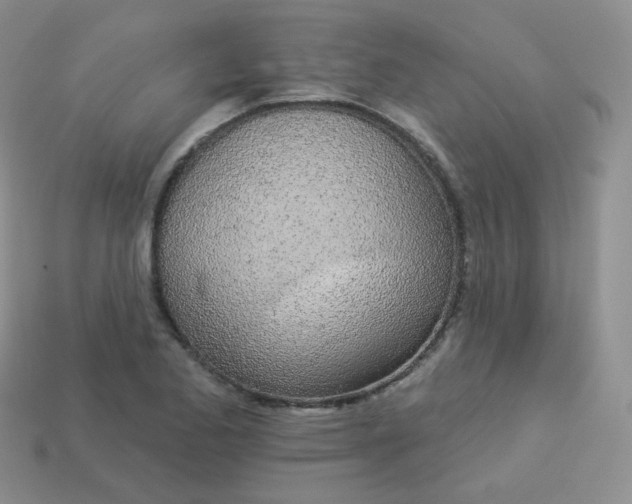 X0000114001173200910161702