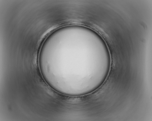 X0000114001174200910161702