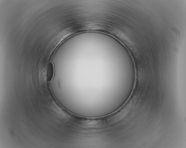 X0000114001177200910161702