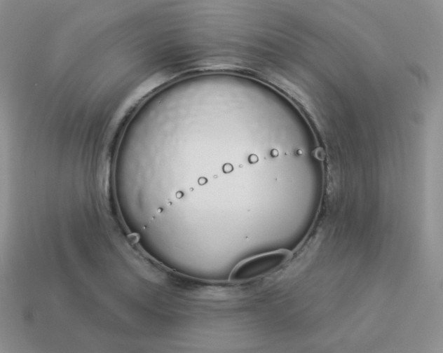 X0000114001179200910161702