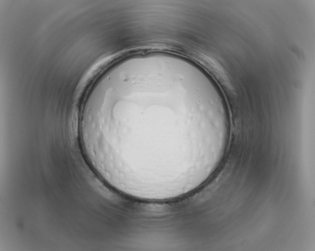 X0000114001180200910161702