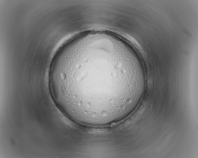 X0000114001183200910161702