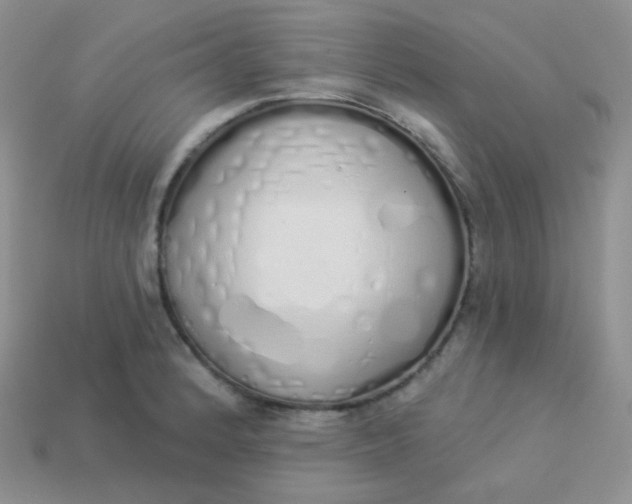 X0000114001184200910161702