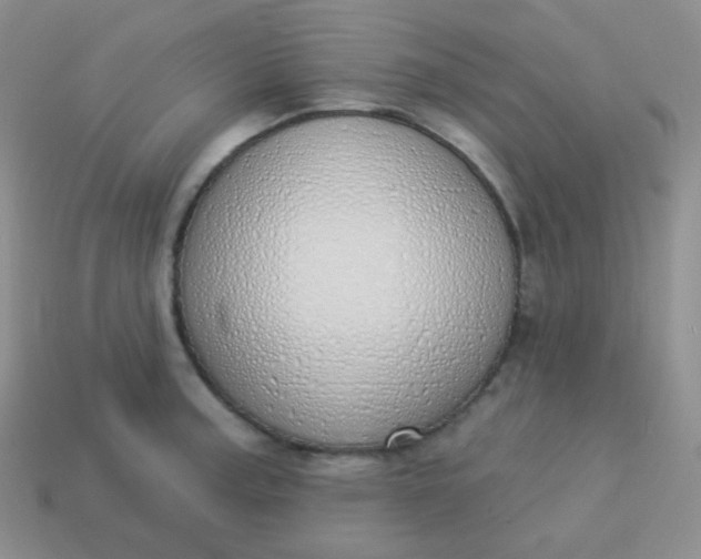 X0000114001187200910161702