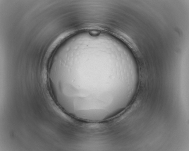 X0000114001188200910161702