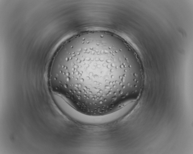 X0000114001189200910161702
