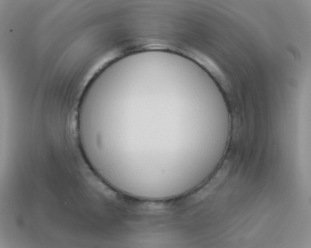 X0000114001190200910161702