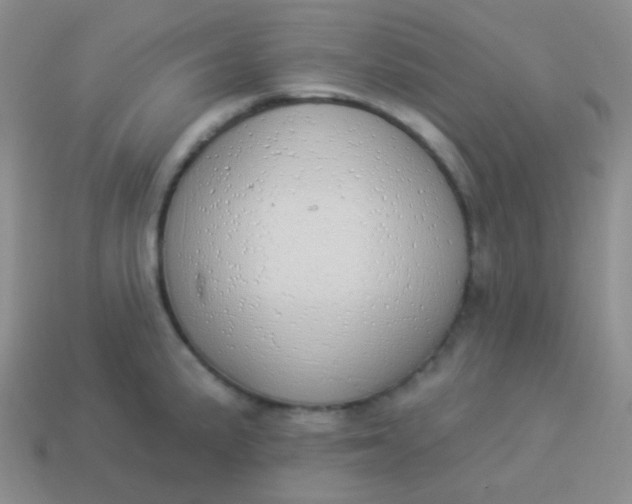 X0000114001191200910161702