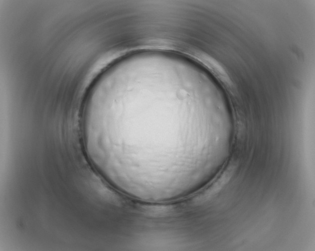 X0000114001192200910161702