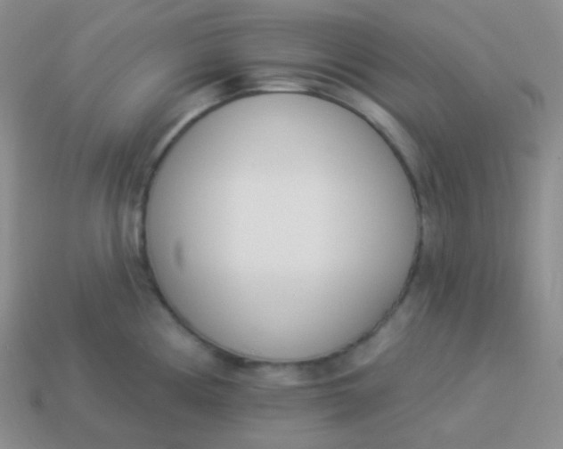 X0000114001194200910161702