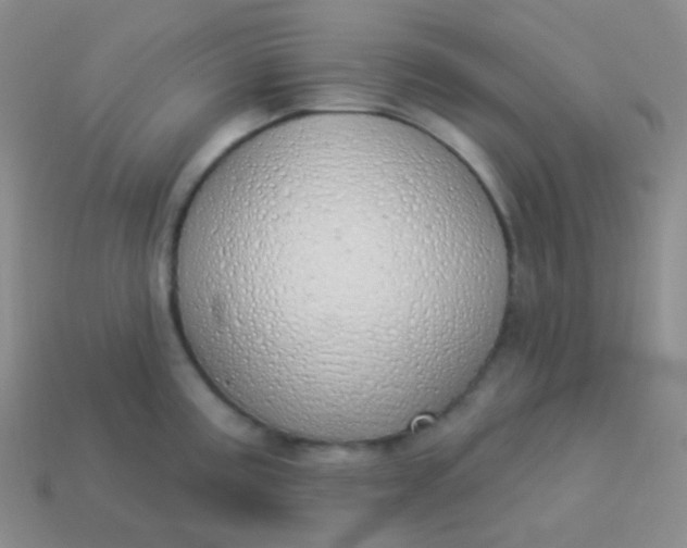 X0000114001195200910161702