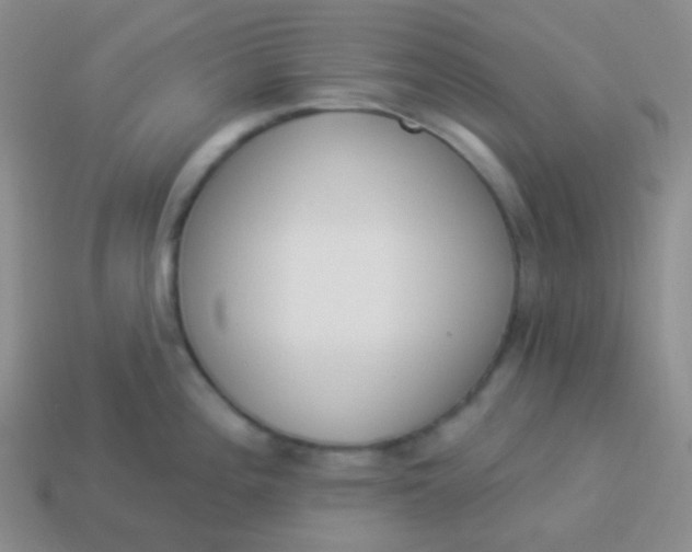 X0000114001196200910161702