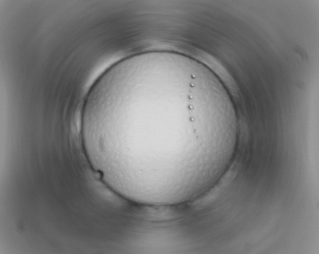 X0000114001198200910161702