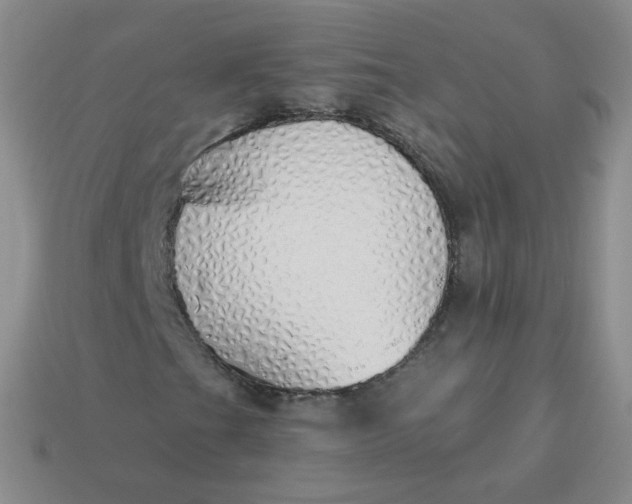 X0000114001201200910161701