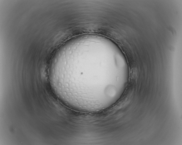 X0000114001202200910161701