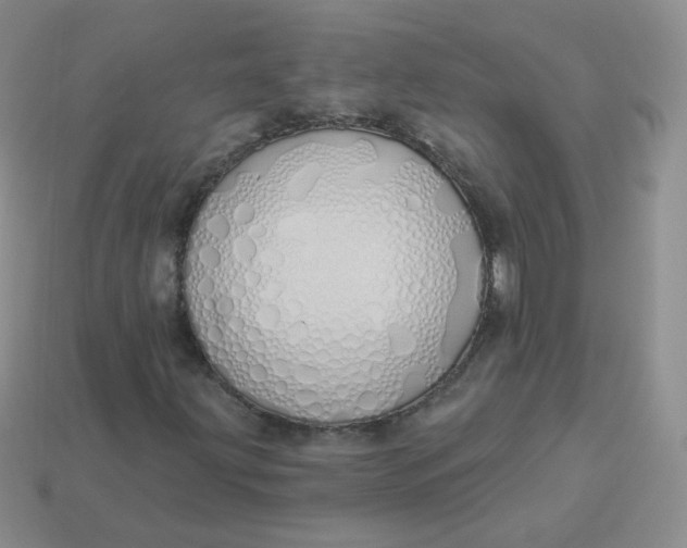 X0000114001203200910161701