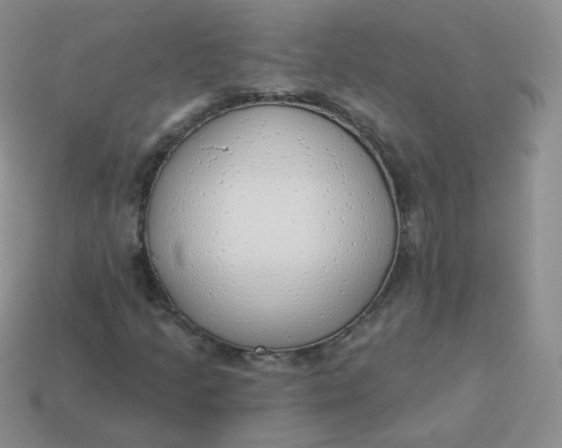 X0000114001205200910161701