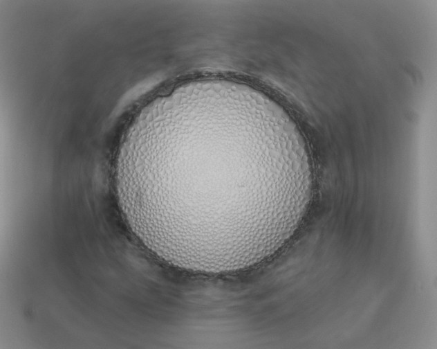 X0000114001207200910161701