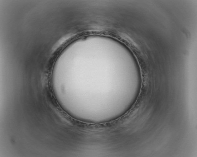 X0000114001208200910161701