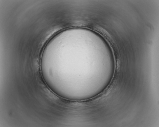 X0000114001212200910161702