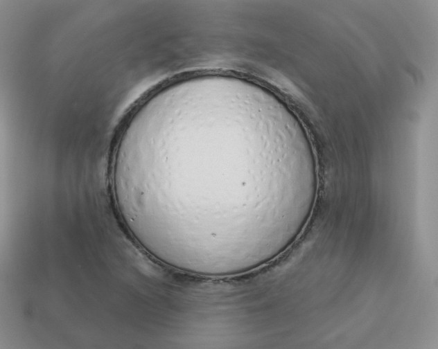 X0000114001216200910161702