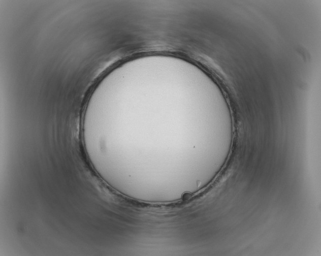 X0000114001220200910161702