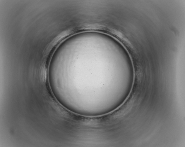 X0000114001221200910161702