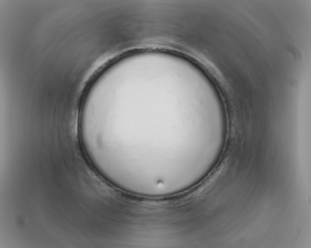 X0000114001224200910161702