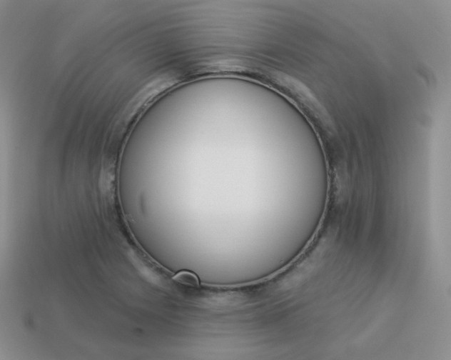 X0000114001225200910161702