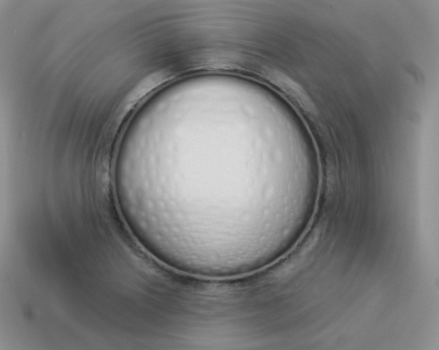 X0000114001226200910161702