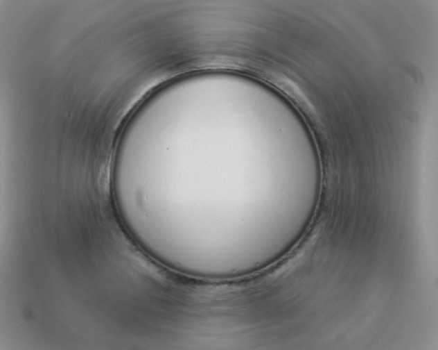 X0000114001228200910161702