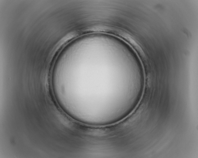 X0000114001229200910161702