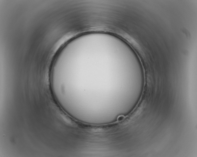 X0000114001230200910161702