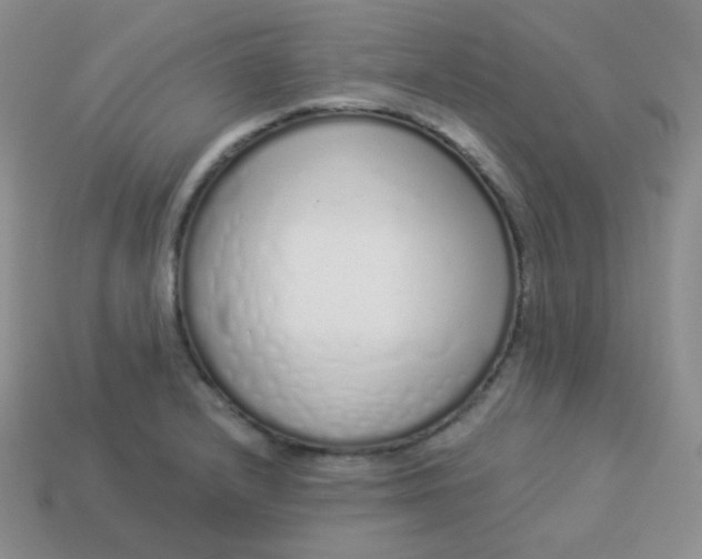 X0000114001232200910161702