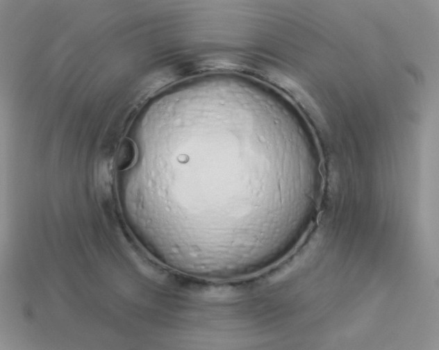 X0000114001233200910161702