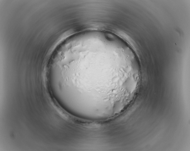 X0000114001235200910161702